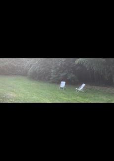 Auffargis House | Maison charmante bordée de bambous