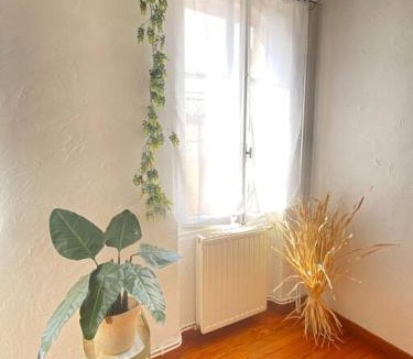 Montauban Apartment | Maison charmante centre Montauban