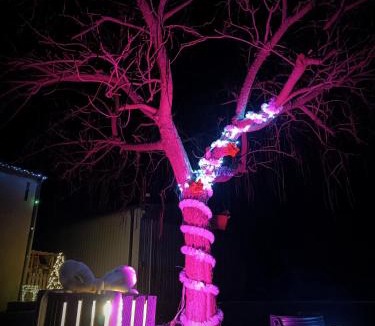 Ligueil House | Maison charmante