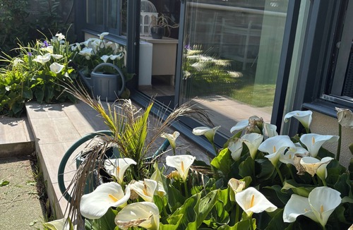 Wimereux House | Maison Cléopâtre Near beach and shops, veranda, garden, private parking