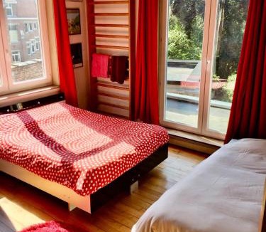 Bailleul House | Maison confortable avec piscine privée à Bailleul