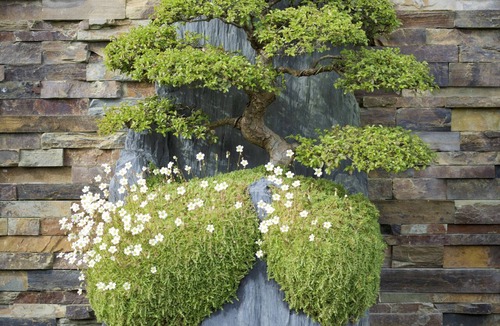 Saint-James House | Maison Contemporaine Well-being Jacuzzi Hammam and Immersive Art in a Zen setting