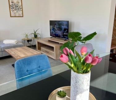 Gingsheim House | Maison Contemporaine Haut Standing - 4 Chambres, Terrasse, Spa & Espace Vert