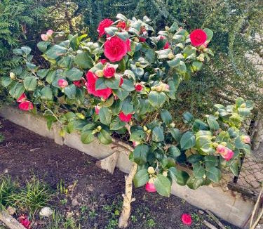 Chartres House | Maison Cosy à Chartres