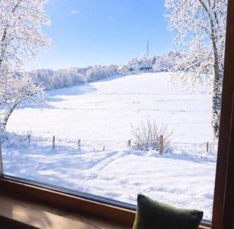 Clairvaux-les-Lacs House | Maison Cosy 10 personnes