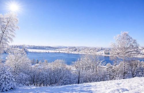 Clairvaux-les-Lacs House | Maison Cosy 10 personnes