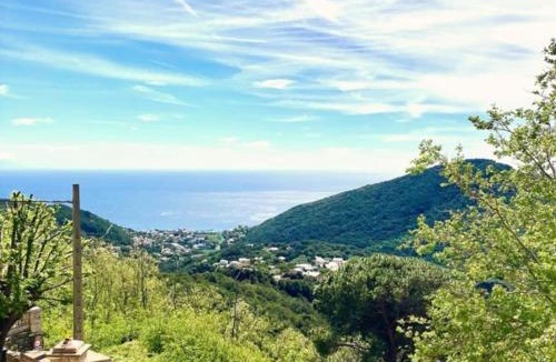 Figarella Apartment | Maison d Americain a Figarella au Cap Corse