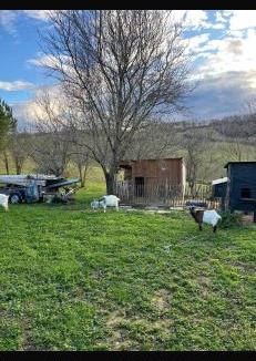 Le Pin-Murelet House | Maison d artiste