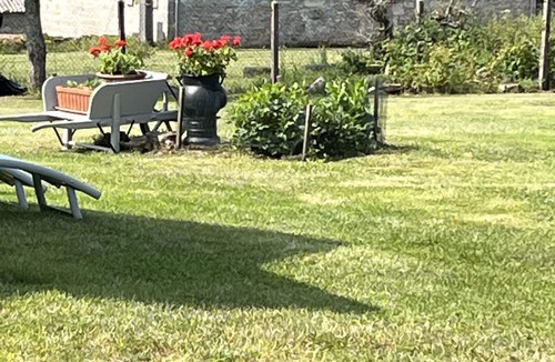 Saint-Martial de Gimel House | Maison de Campagne