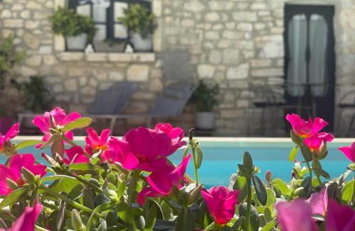 Saint-Paul-Trois-Chateaux Bed & Breakfast | Maison d'hôtes Payan Champier