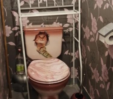 Oasis - Maroc House | Maison d'hôte avec jardin