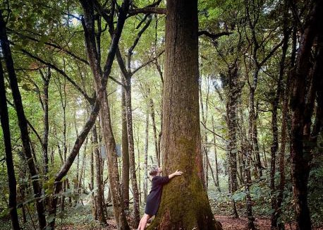 Dagneux House | Maison d'hôtes chez Aud