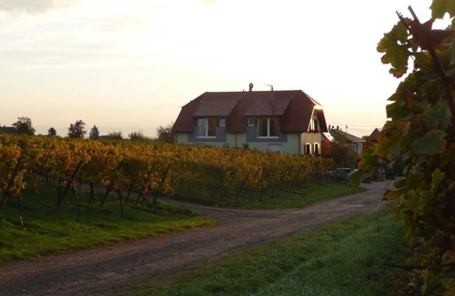 Eichhoffen House | Maison d'hôtes Les Feuilles d'Or