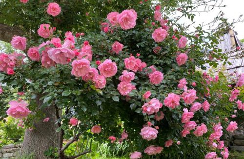 Meolans-Revel House | Maison d’hôtes les Méans