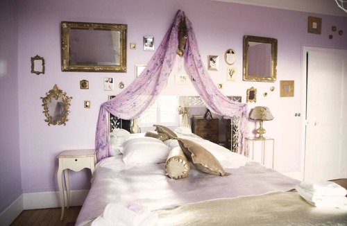 Provins House | Maison d'Hôtes Stella Cadente