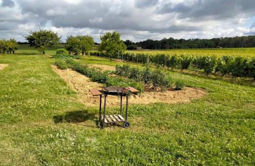 Saint-Georges-sur-Cher House | Maison dans les vignes - proche Chenonceau Beauval