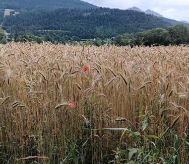 Nantes-en-Ratier Apartment | Maison dans corps de ferme rénovée