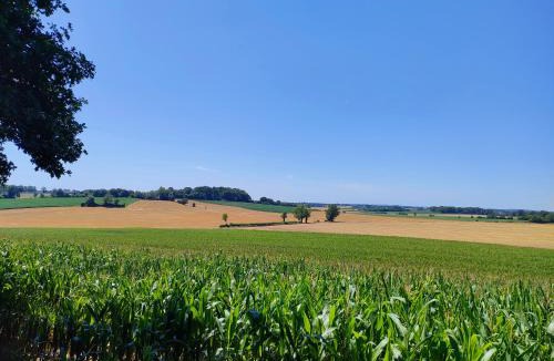 La Chapelle-Montligeon House | Maison dans le bourg