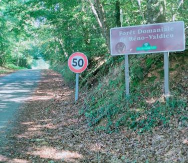 La Chapelle-Montligeon House | Maison dans le bourg