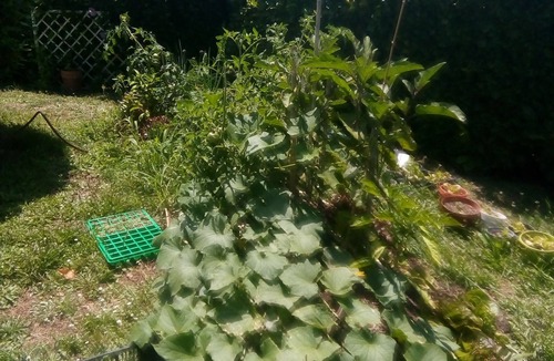 Garidech House | Maison Dans Lotissement Calme