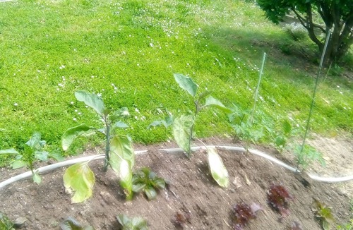 Garidech House | Maison Dans Lotissement Calme