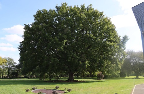 Soulitre House | Maison Darchitecte et sa Piscine Privée