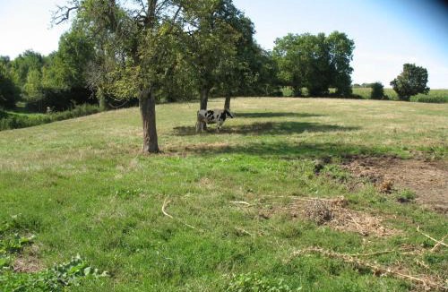 Bures House | Maison de Bourg Avec Jardin et Wifi - Bures - FR-1-497-124