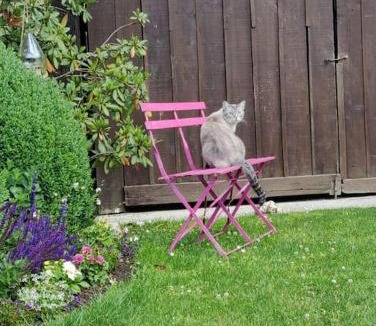 La Neuville-aux-Bois House | Maison de campagne avec cheminée et extérieur