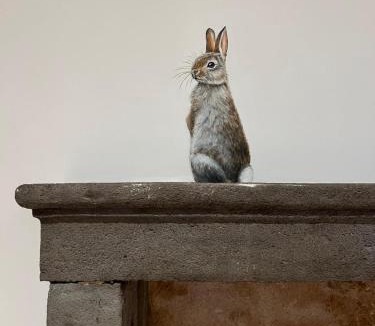 Jaligny-sur-Besbre House | Maison de campagne au calme