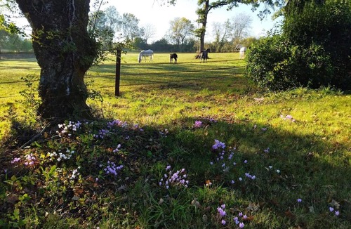 Le Landreau House | Maison de campagne au cœur d'un élevage de poneys connemara