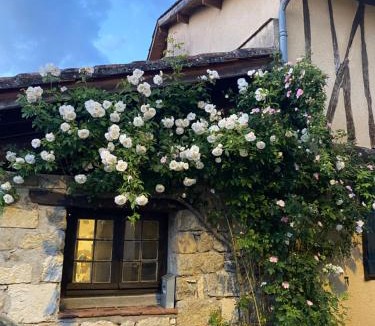 Belmont House | Maison de campagne avec piscine