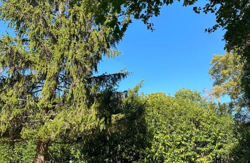 Champniers House | Maison de campagne cosy dans la verdure