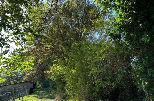 Champniers House | Maison de campagne cosy dans la verdure