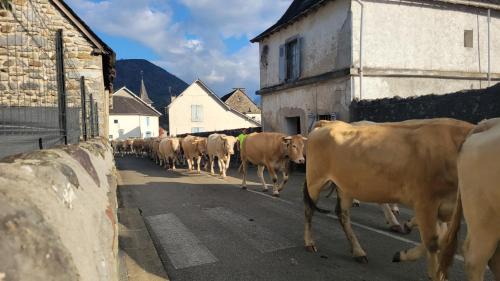 Issor House | Maison de campagne