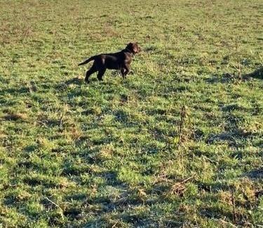 Le Baizil House | Maison de campagne