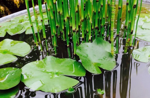 Sablonnieres House | Maison de Campagne à 1h15 de Paris