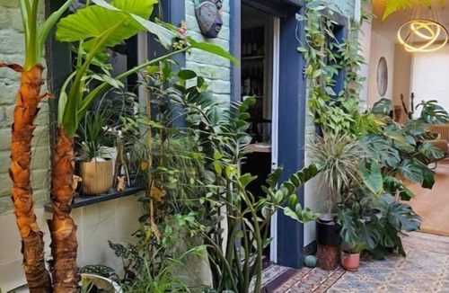 Lambersart House | Maison de Caractère 8 Pers - Jardin