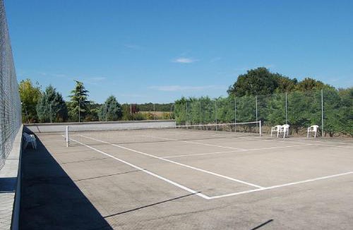 Faverolles House | Maison de Charme avec Piscine Chauffée et Tennis à Proximité du Zoo de Beauval - FR-1-591-26