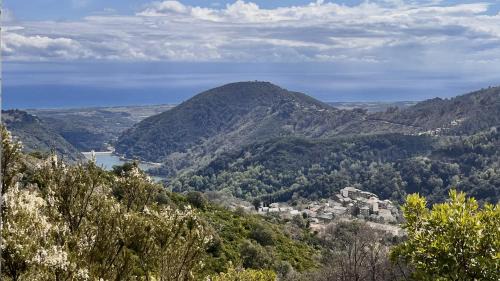 Pietra-di-Verde House | Maison de charme Corse sauvage