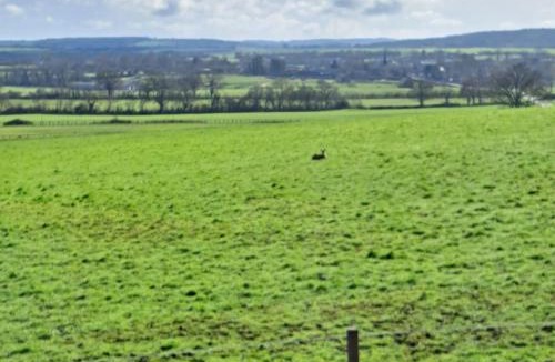 Nonant-le-Pin House | Maison de charme en campagne, 5 min du haras du pin