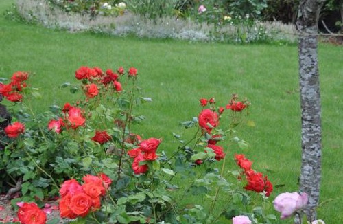 Binic House | Maison de charme