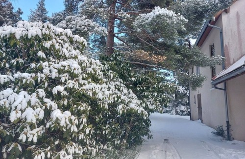Chalmazel-Jeansagniere House | Maison de la forêt magique