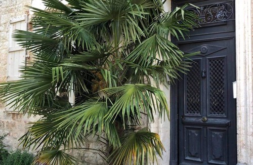 Penne-d'Agenais House | Maison de Maître sur le Lot