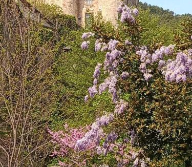Largentiere Villa | Maison de Maître du domaine des Lys