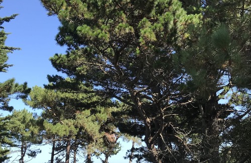 Ile-de-Brehat House | Maison de Pêcheurs Île de Bréhat