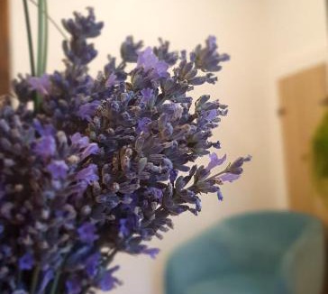 Auch Apartment | Maison de rue: Auch