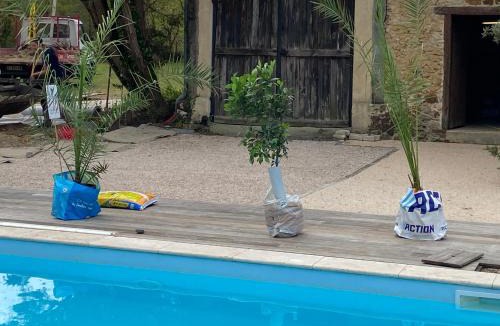 Lucbardez-et-Bargues House | maison de vacances Mont de Marsan