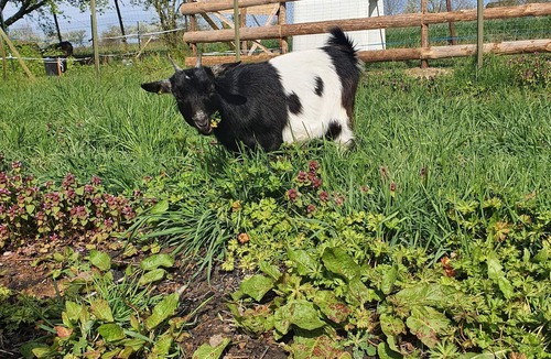 Hesse House | Maison de Village Avec Jacuzzi Privé