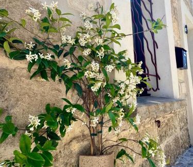 Le Grau-Du-Roi House | Maison de village rénovée !