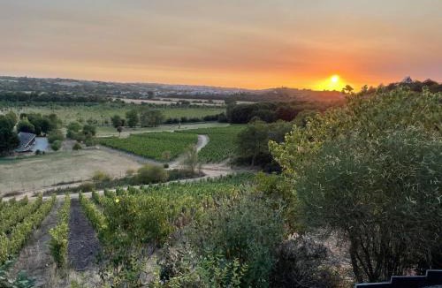 Loire Layon Aubance Villa | Maison des Coteaux blancs